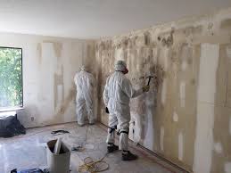  , USA Mold Prevention & Removal Pros